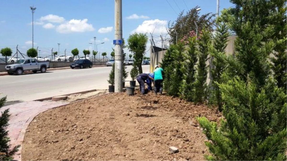 Kartepe Yolları Çiçekleniyor