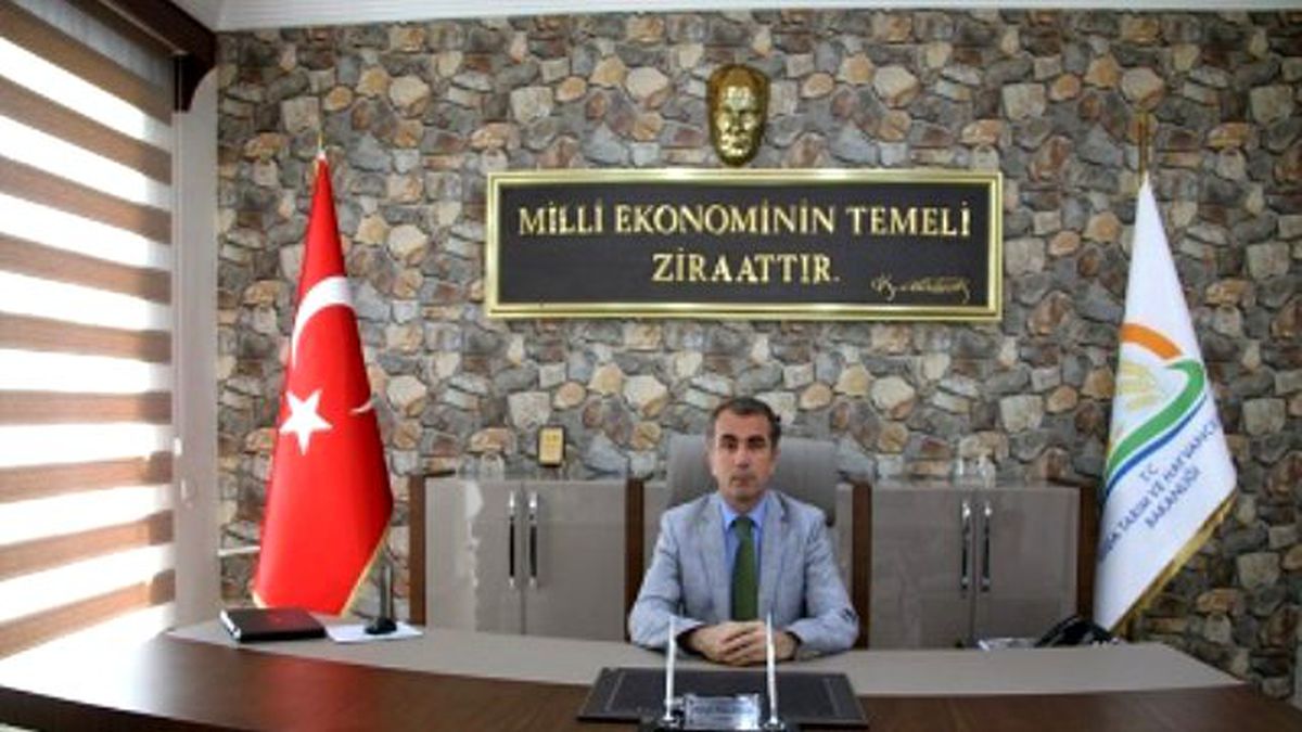 Pamuk Üreticisine Müjde