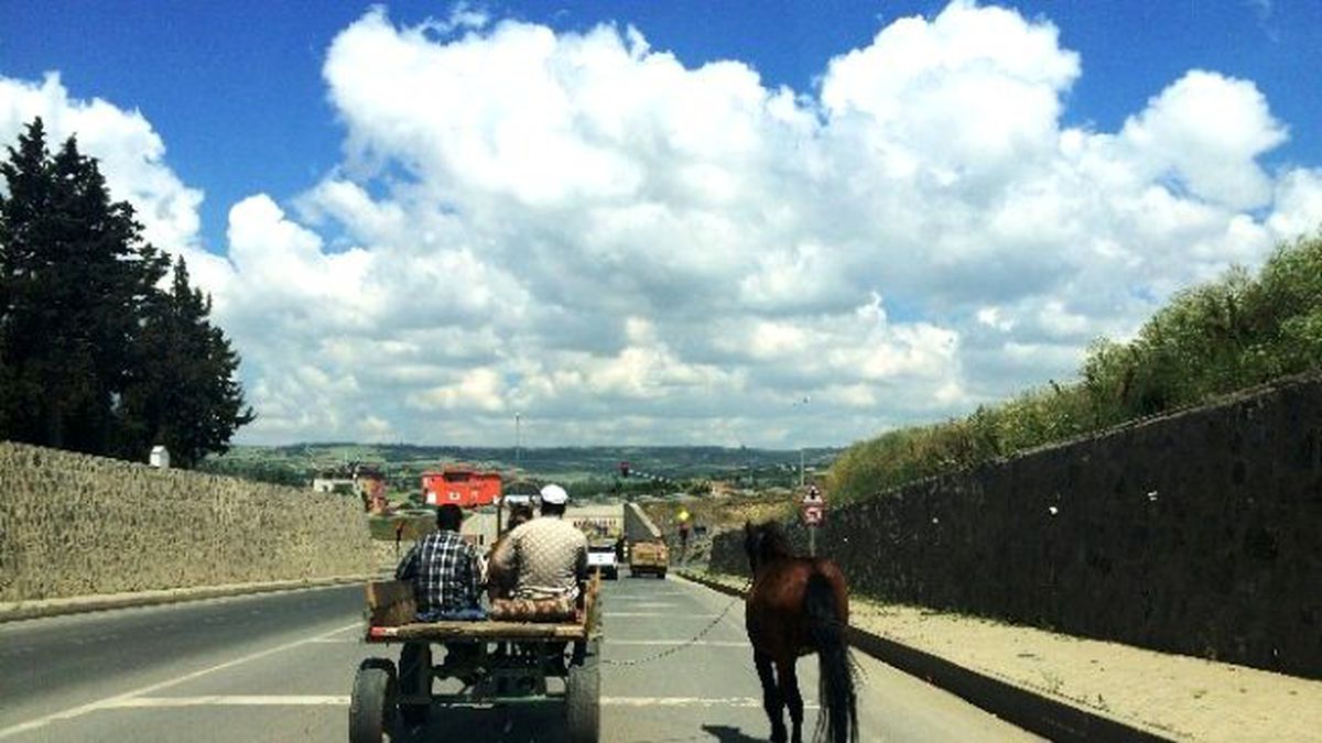 At Arabası Trafikte Cirit Atıyor