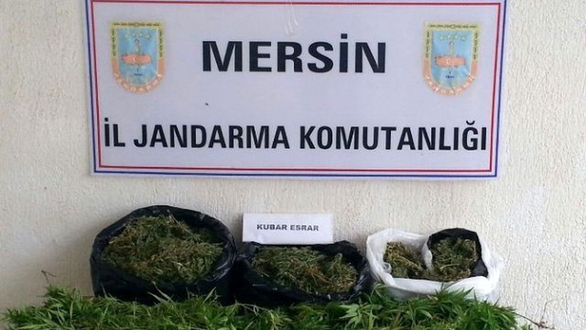Biber Serasında Uyuşturucu Madde Yetiştirdi