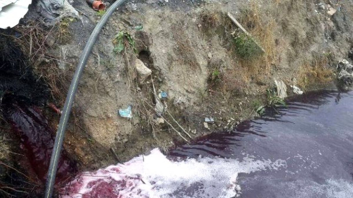 Bursa\'nın Dereleri Trilyonluk Yatırıma Rağmen Zehir Akıyor