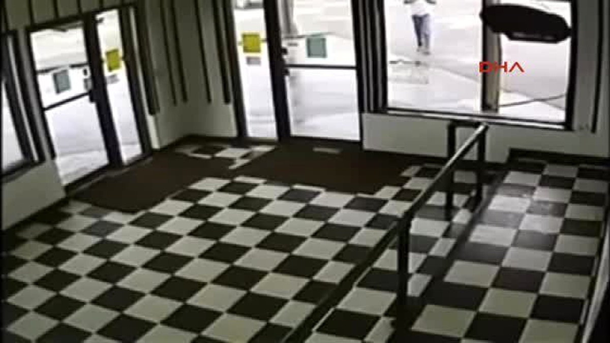 Cep Telefonuna Dalan Adam Yılana Basınca Olanlar Oldu
