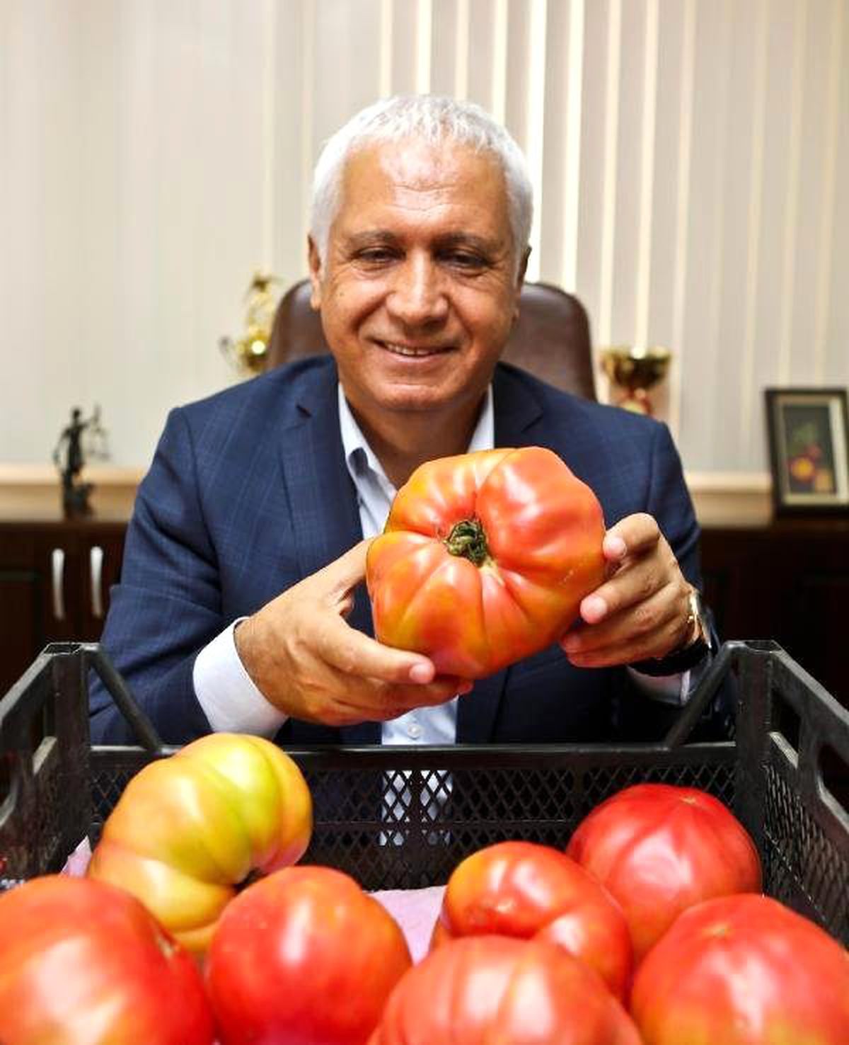 Dev Domatesler Elde Kaldı