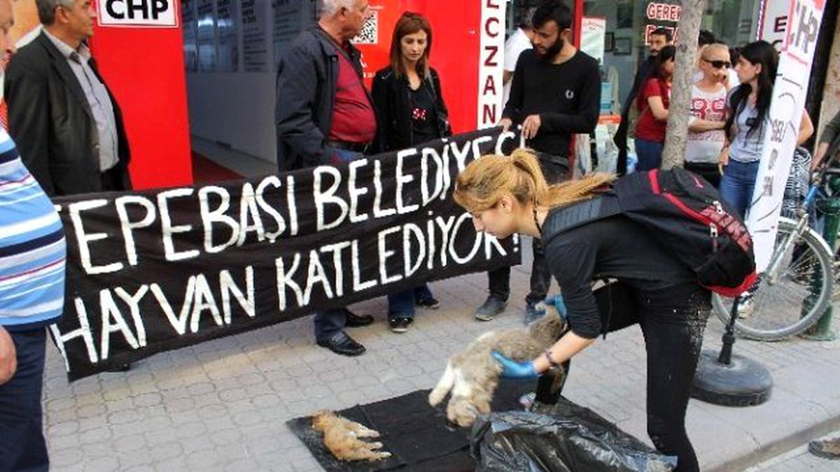 Eskişehir\'de Hayvan Mezarlığı İddiası
