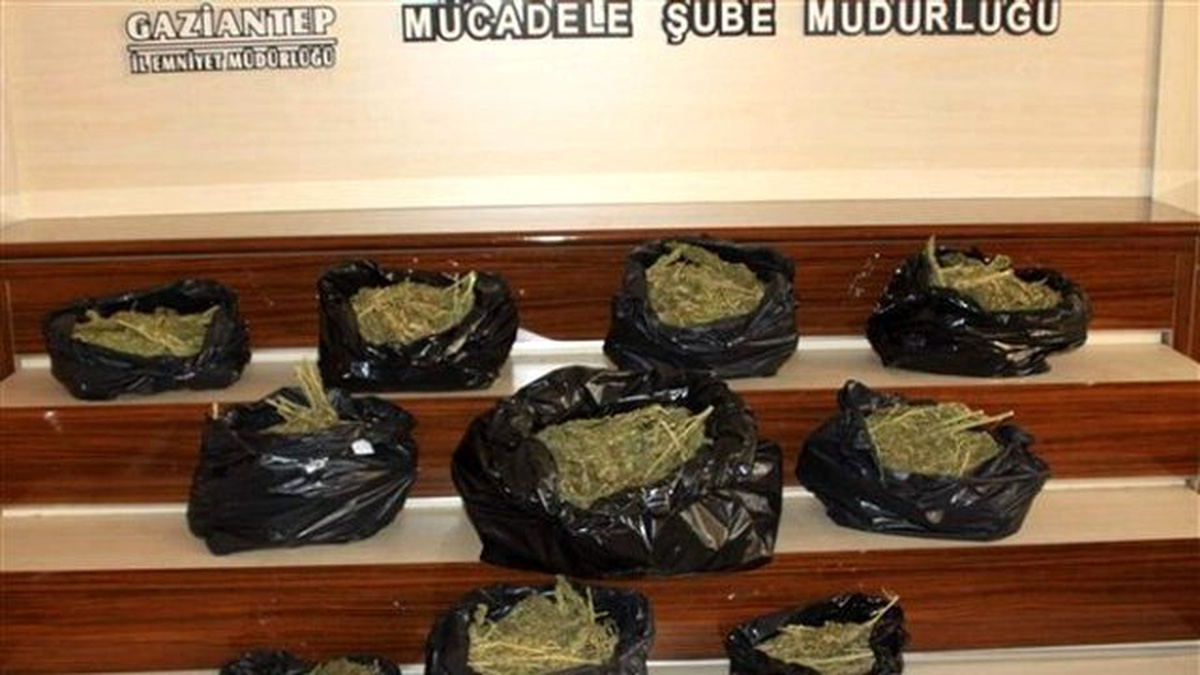 Gaziantep\'te 17 Kilo Esrar Ele Geçirildi