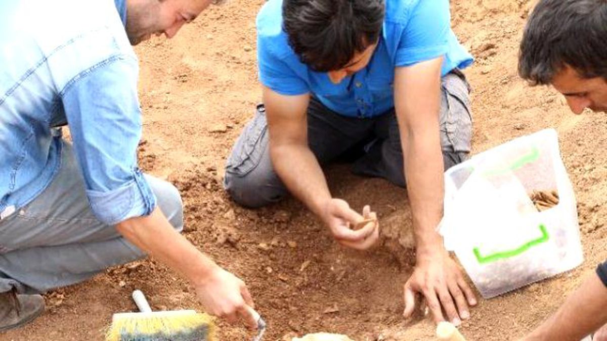 Mardin\'de Tunç Devri\'ne Ait Mezar Bulundu
