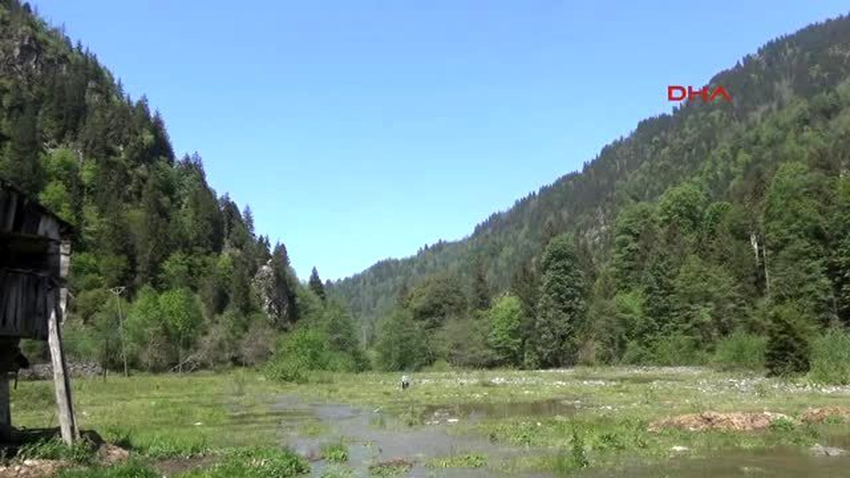 Rize Meteorolojinin Kapattığı İstasyonu İşleten Rizeli: Yağış Miktarındaki Düşüş Araştırılsın