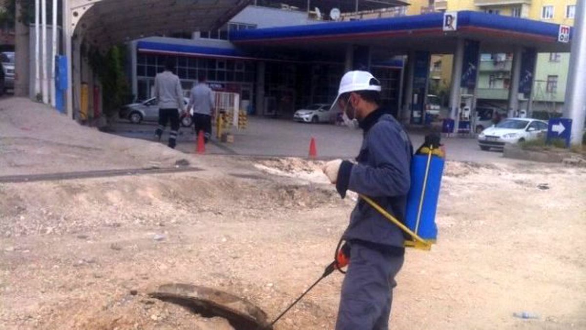 Silvan\'da Haşerelere Karşı İlaçlama Çalışmaları Başladı
