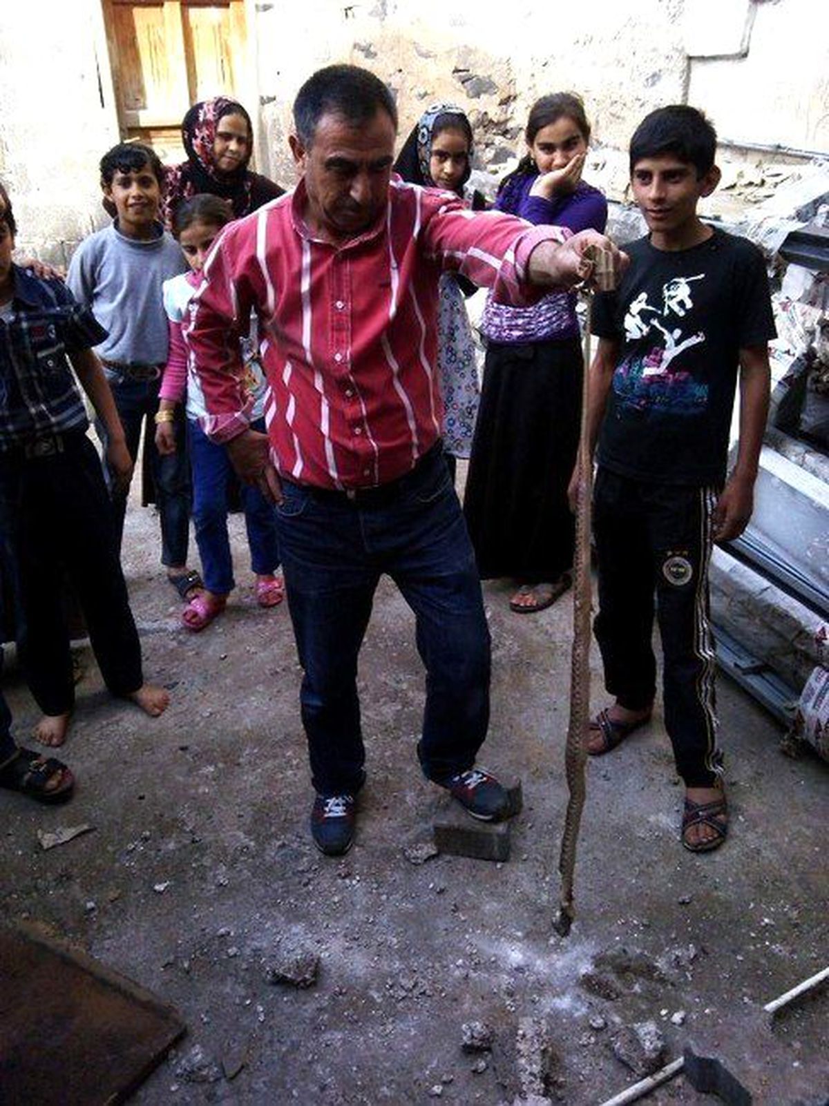 Siverek\'te Bir Eve Giren Yılan Öldürüldü