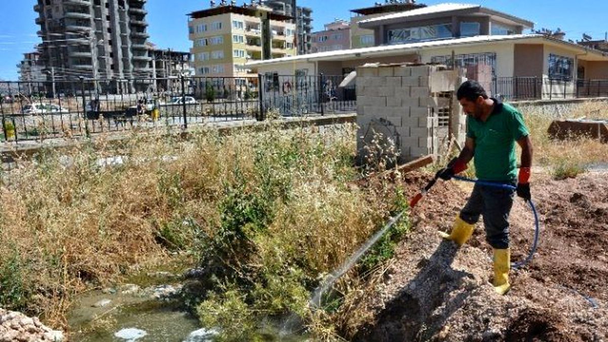 Sivrisinek ve Haşereyle Mücadele Çalışmaları Devam Ediyor