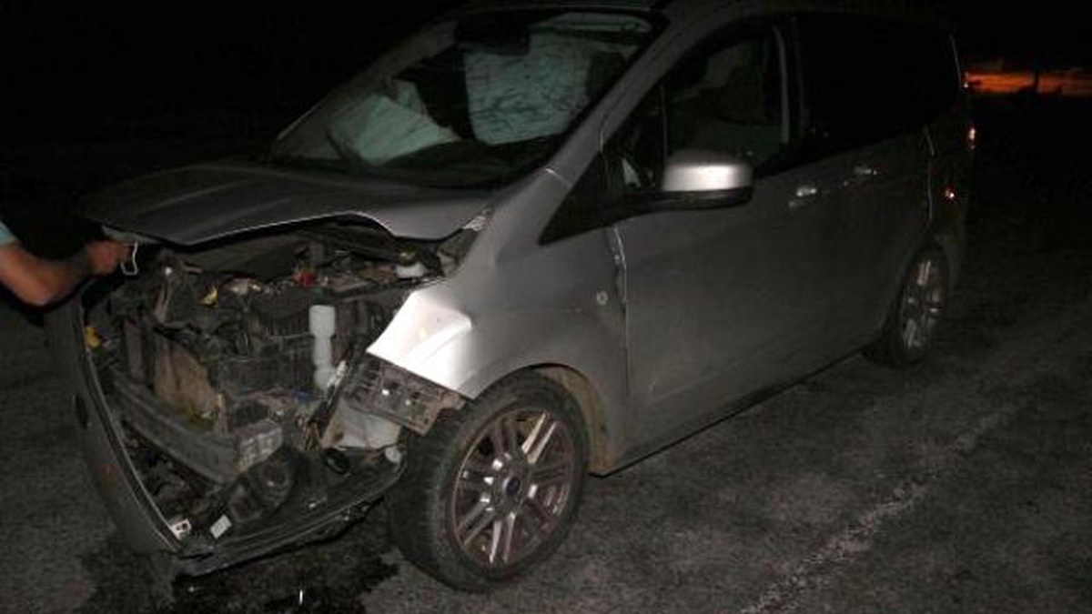 Sürüye Dalan Otomobil 18 Koyunu Telef Etti