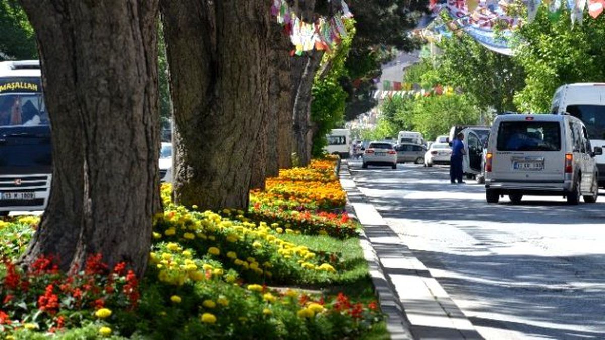 Tatvan Çiçeklerle Daha Renkli
