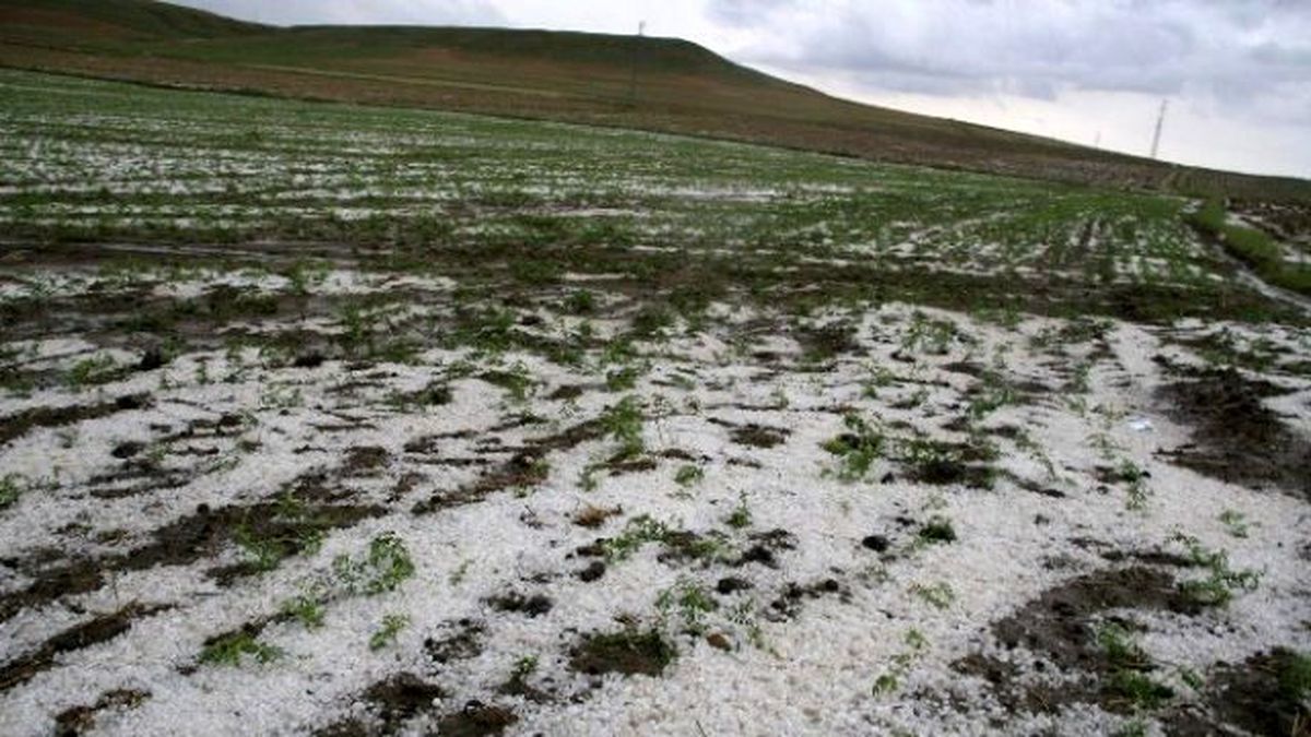 Yozgat\'ta Dolu Ekili Alanlara Zarar Verdi