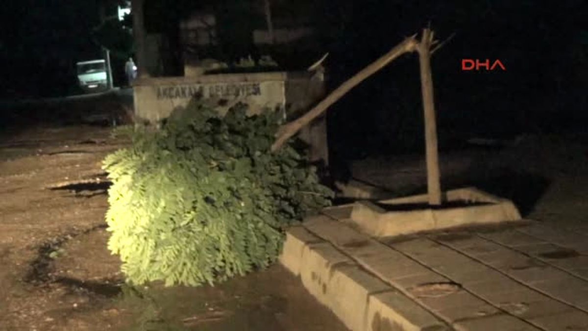 Akçakale\'de Fırtınada 8 Kişi Yaralandı