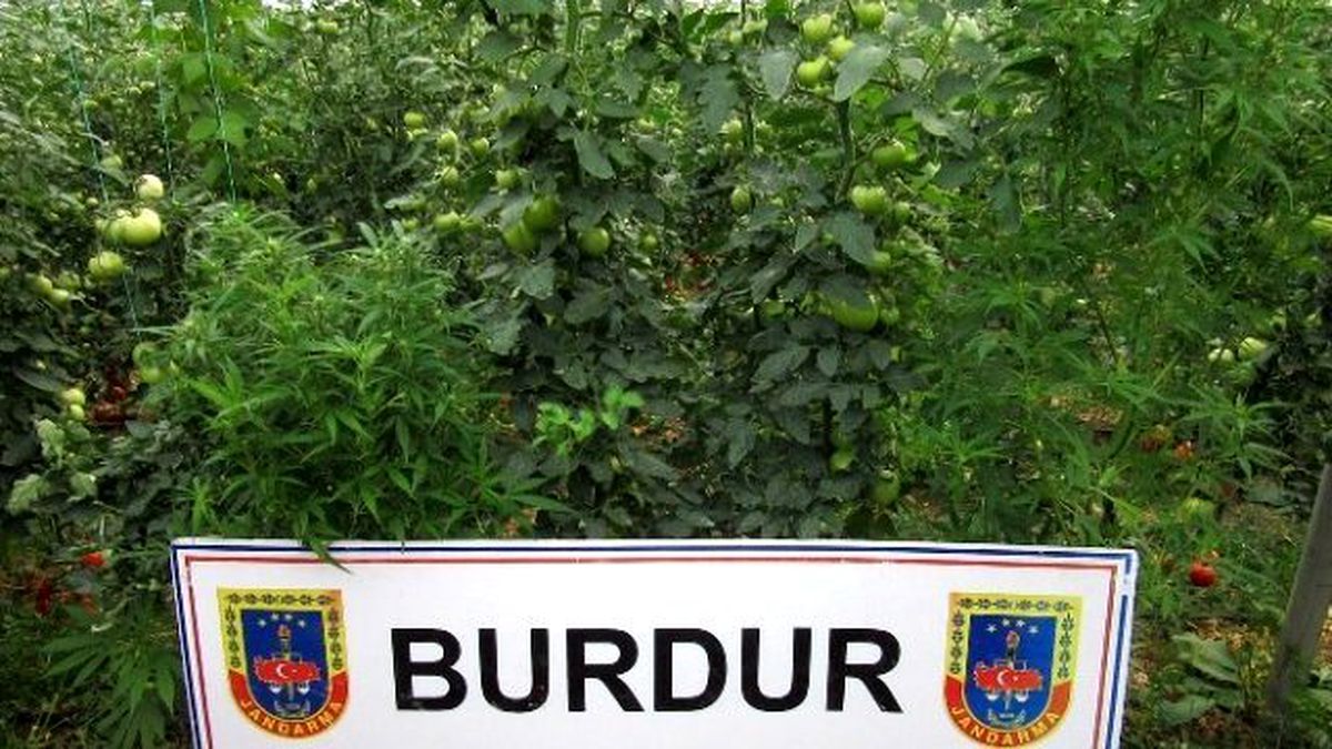 Burdur\'da Tarihi Eser ve Kenevir Operasyonu