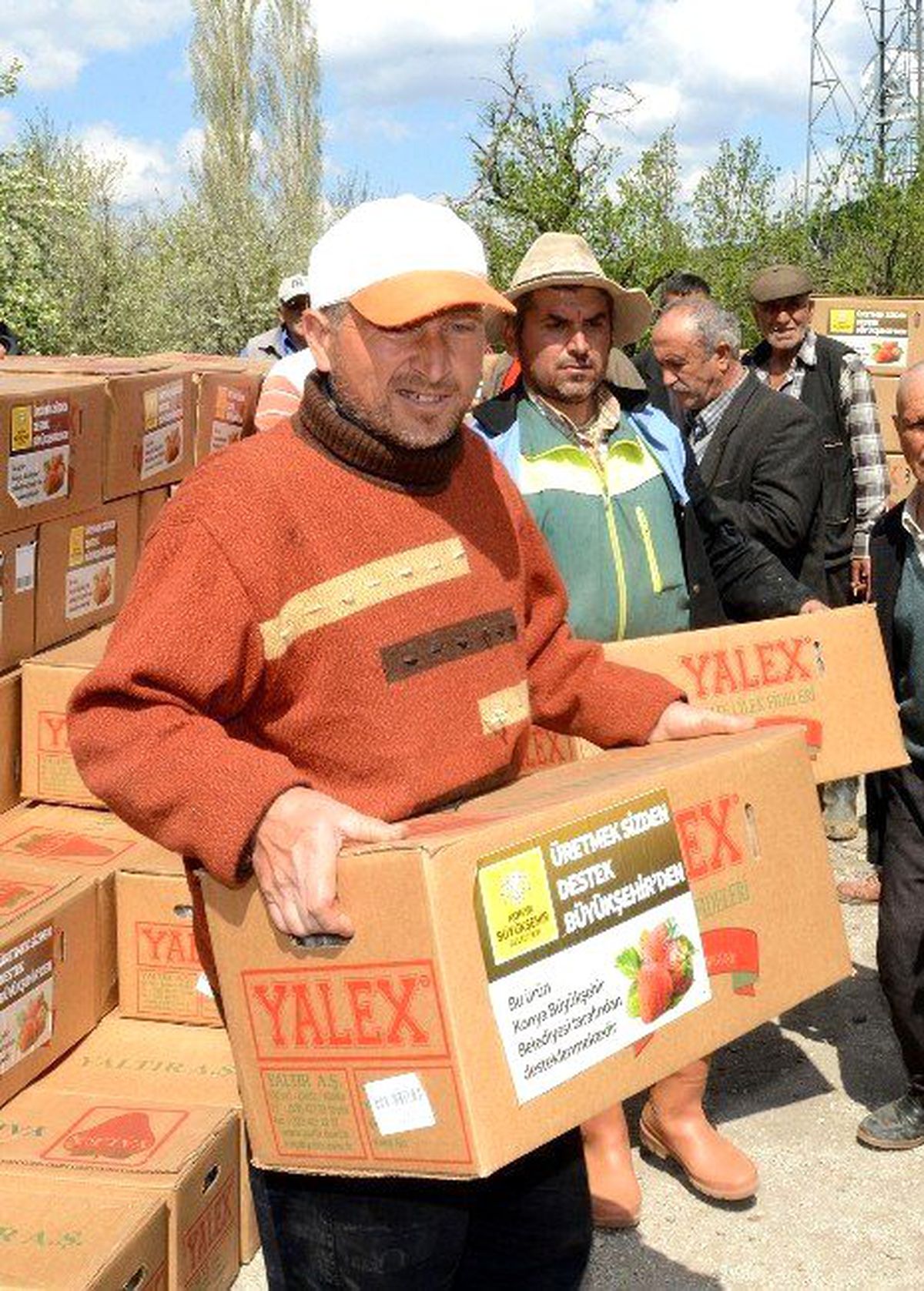 Büyükşehir\'den Çiftçiye 4 Milyon Liralık Çilek Desteği