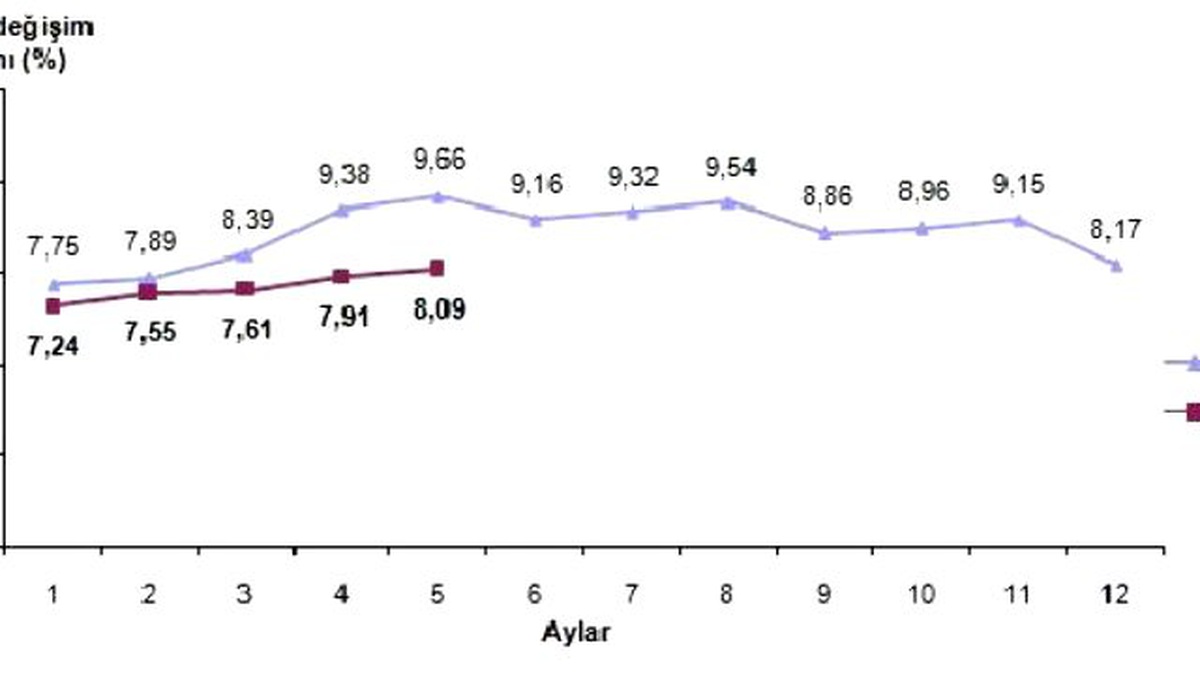 Enflasyon Mayıs\'ta Yüzde 0.56 ile Beklentilere Paralel (2)
