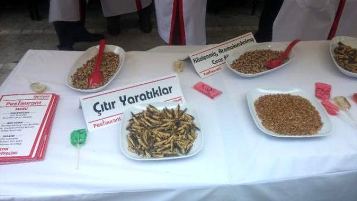 Kadıköy\'de Böcek İkramı Görenleri Şaşırttı