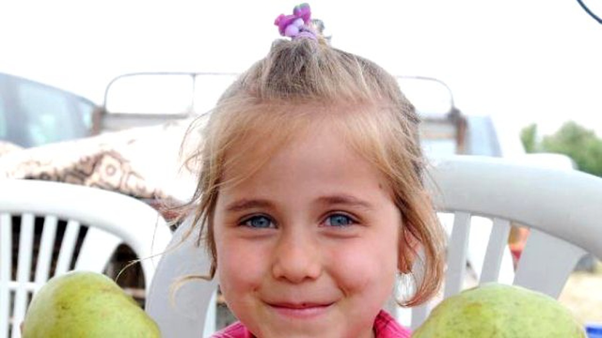 Karyağdı Armudu İçin Tarihi Belge Aranıyor