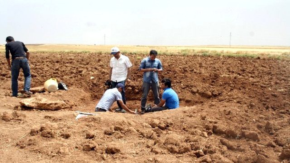 Nusaybin\'de Tunç Dönemine Ait Mezar Bulundu