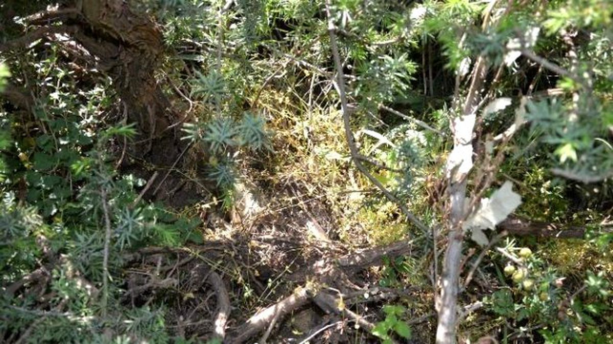 Siirt\'te Havan ve Antitank Roketi Bulundu
