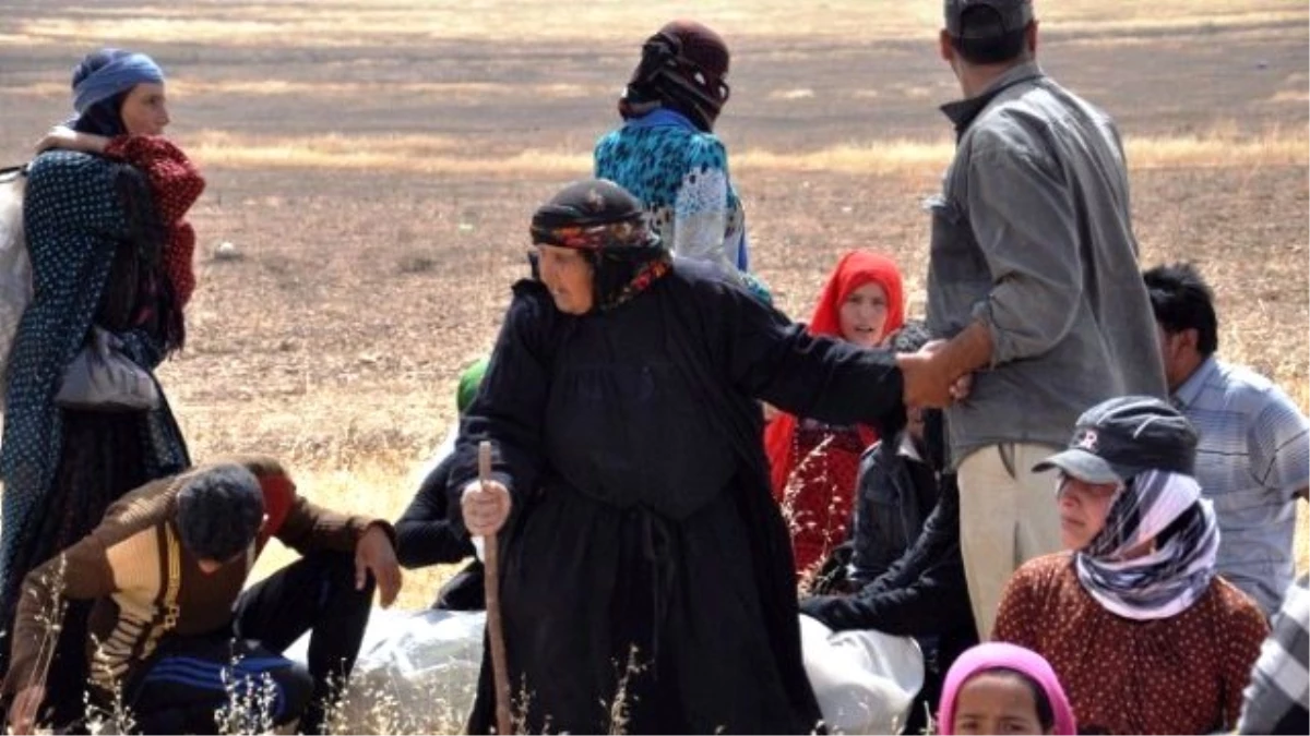 Sınırda Bekleyen Suriyeliler Minibüsle Akçakale\'ye Getirildi