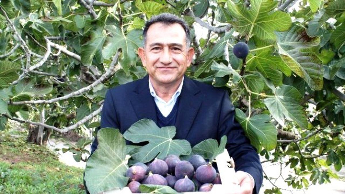 Siyah İncir 30 Milyon Dolar Kazandırdı