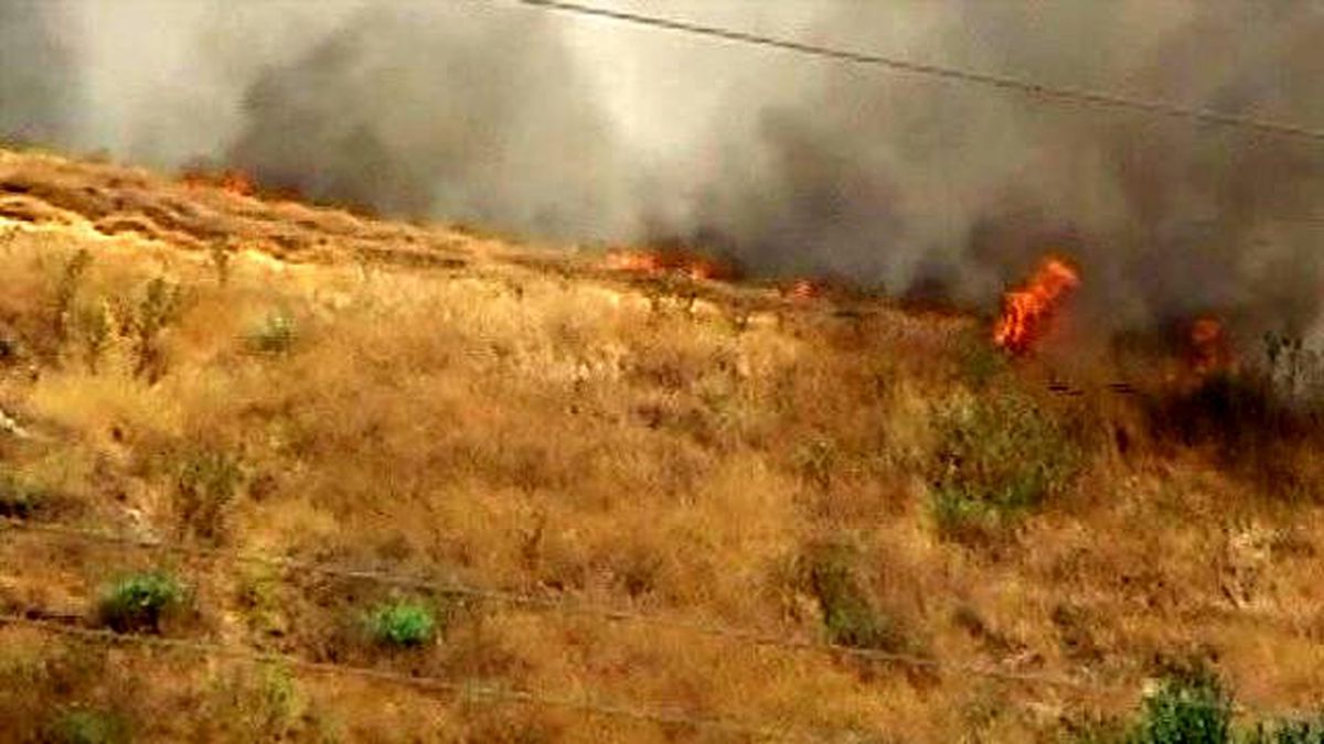 Buğday Tarlasındaki Yangın 20 Dönümlük Alanı Kül Etti