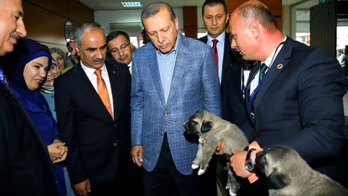 Cumhurbaşkanı Erdoğan\'a Kangal Yavruları Hediye Ettiler