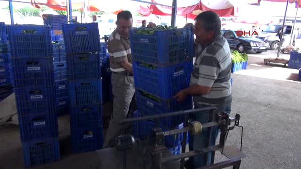 Domates ve Biber Fiyatı Dibe Vurdu