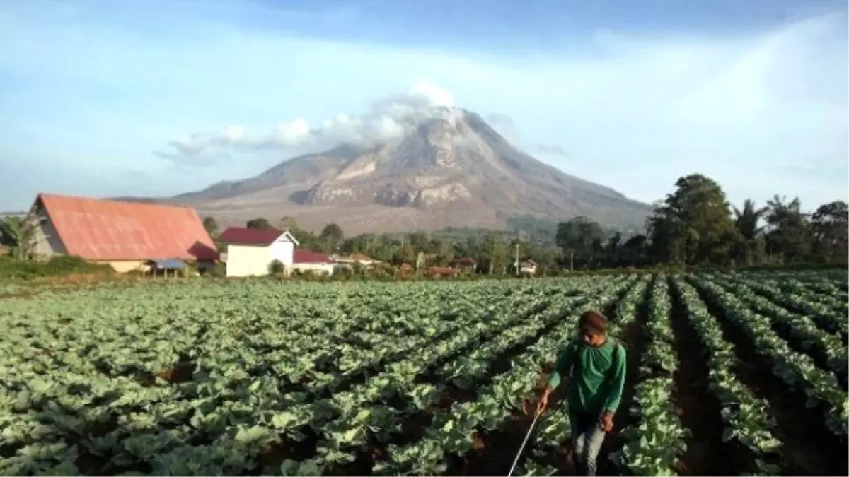 Endonezya\'da Sinabung Yanardağı Harekete Geçti