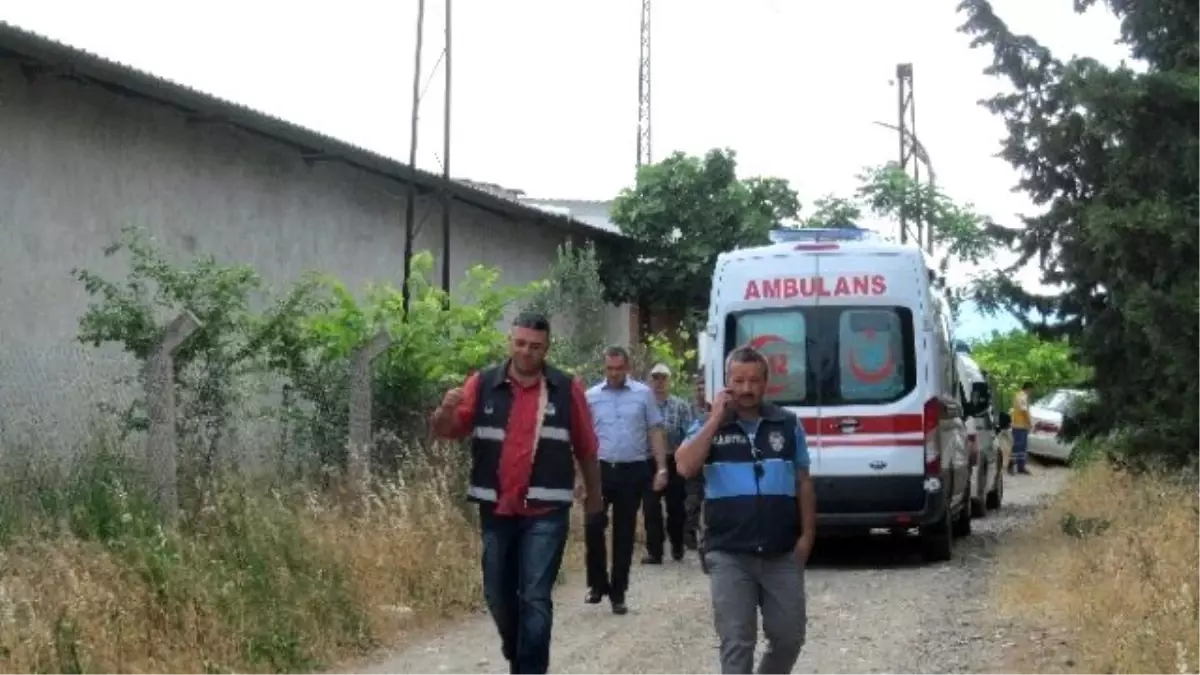 Koyunların Bahçeye Girmesi Yüzünden Çıkan Kavgada Bir Kardeş Öldü, İkisi Yaralandı