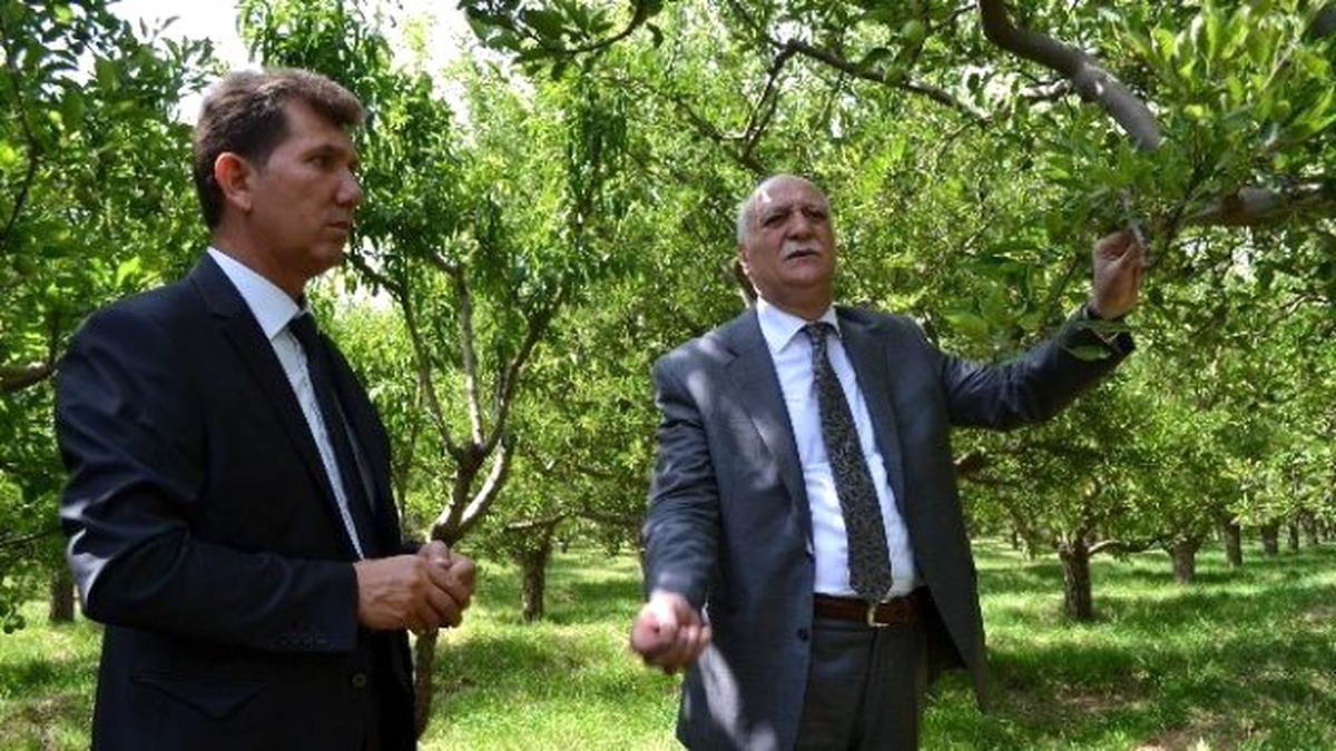 Niğde Ziraat Odası Başkanı Veli Kenar;