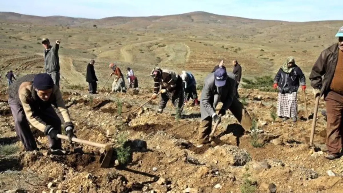 Orman İşçilerinin İş Süresi 4 Ay Uzatıldı