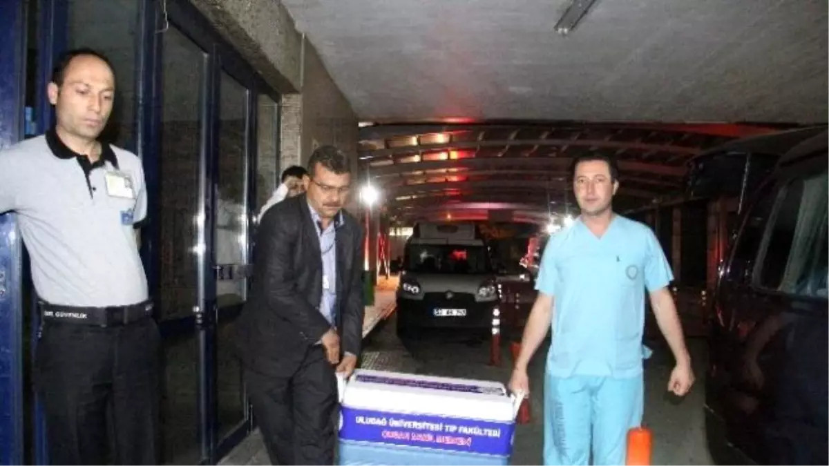 40 Yıl Kaçak Yaşayan Adam Ölümüyle 4 Canı Kurtardı