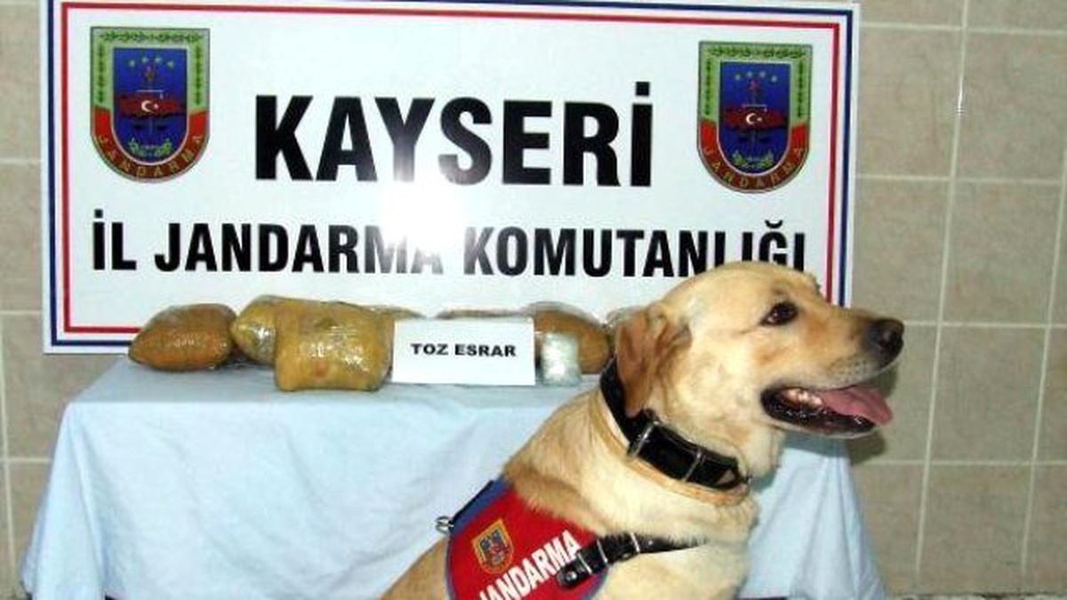 Kayseri Jandarmadan Esrar Operasyonu