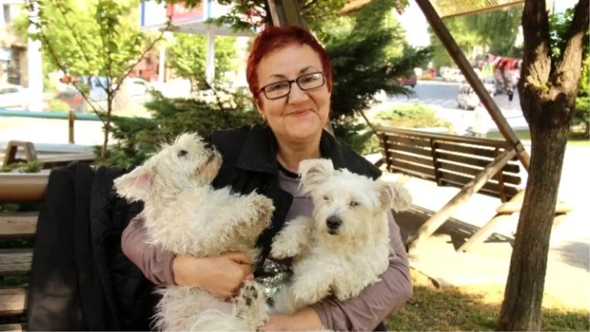 Köpek Sevgisi Evi Terk Ettirdi