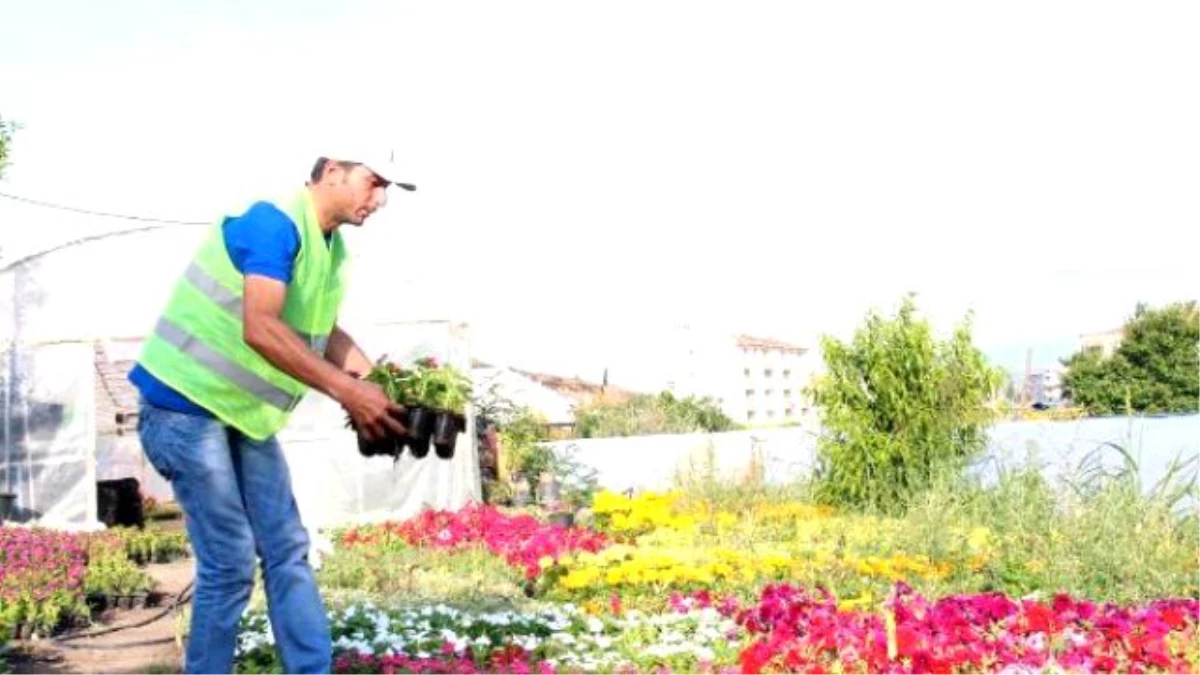 Tekmelenen Madenci, Bergama Belediyesi\'nde İşe Başladı