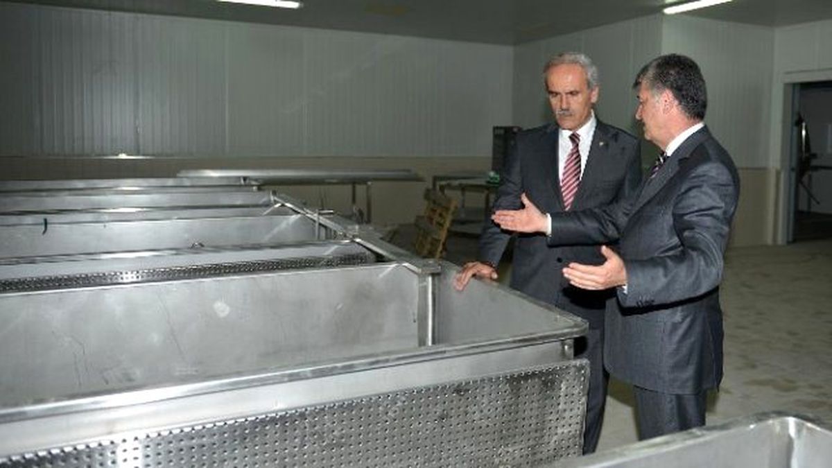 Besaş Beyaz Peynir Üretimine Başlıyor