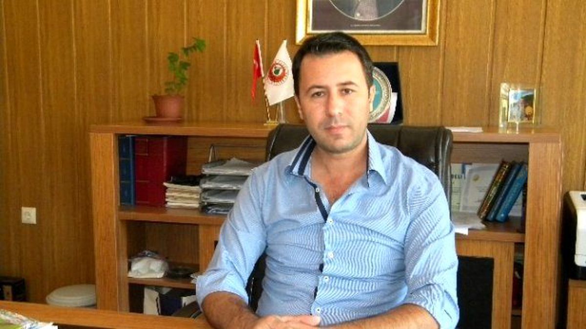 Fatsa\'da Ağaçlandırma Çalışmaları