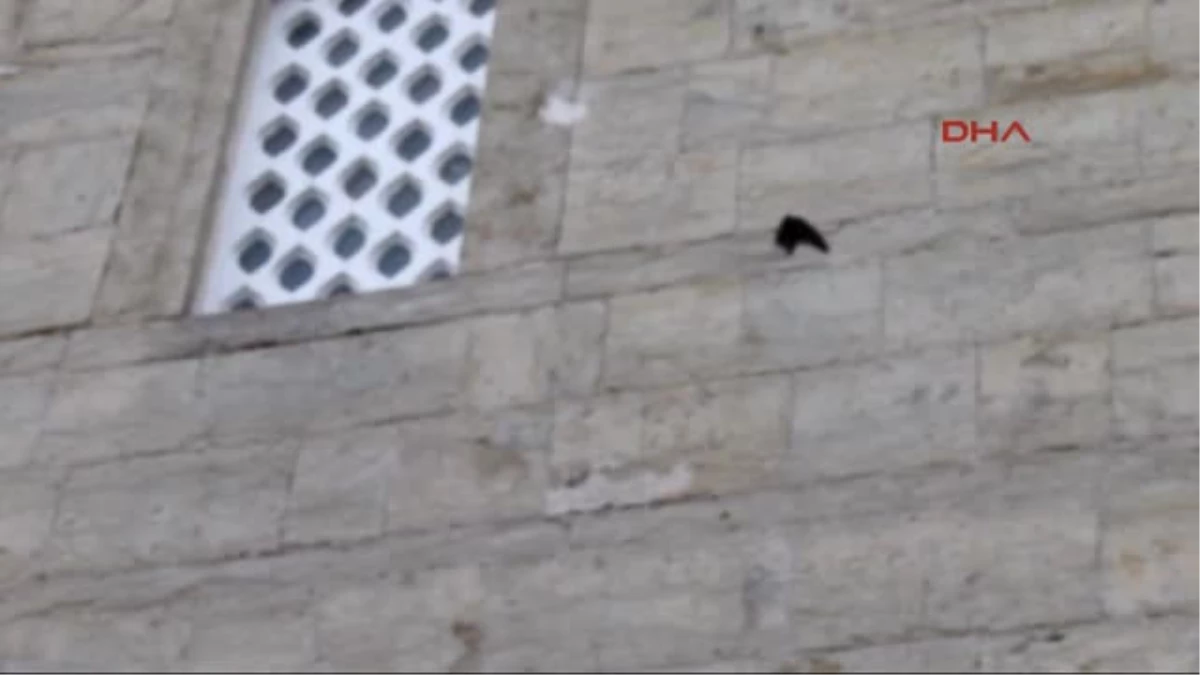 Karabük - Cami Duvarında Ayağı Sıkışan Kırlangıcı İtfaiye Kurtardı