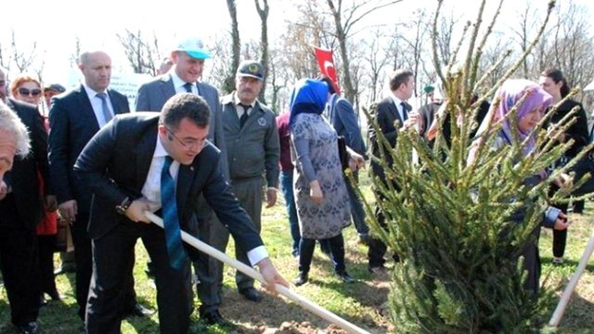 Keskin "Düzce\'de 2019\'a Kadar 7 Bin 370 Fidan Toprakla Buluşacak"