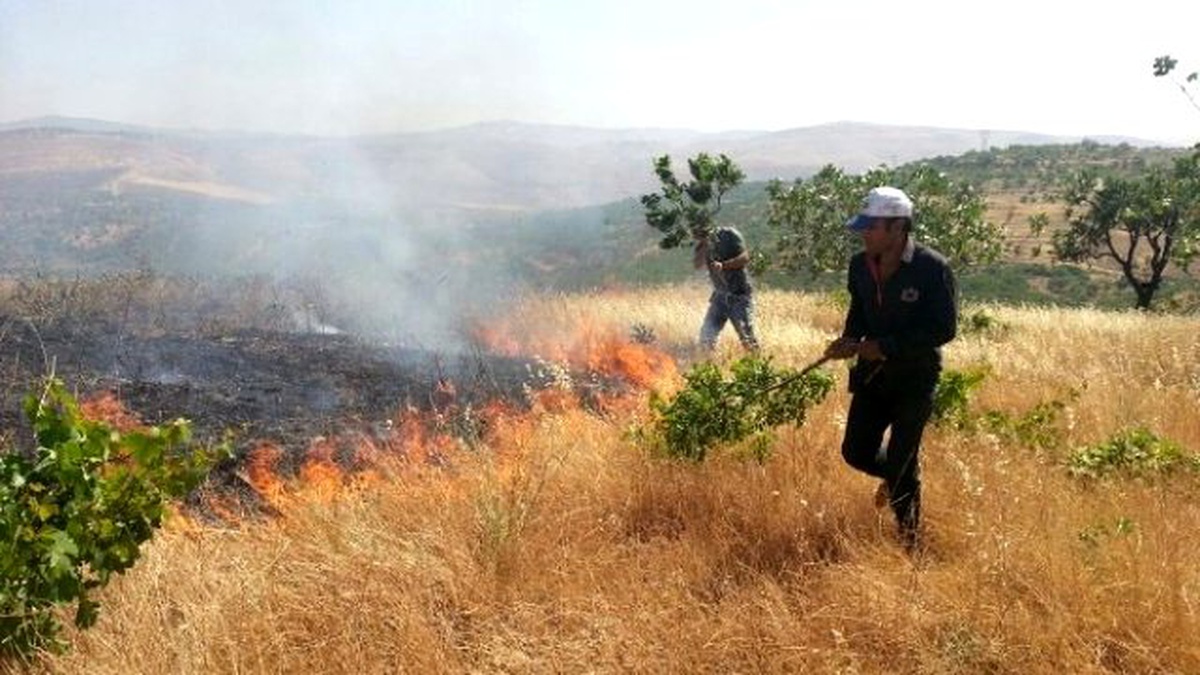 Siirt\'te İlkel Yöntemlerle Yangın Söndürme