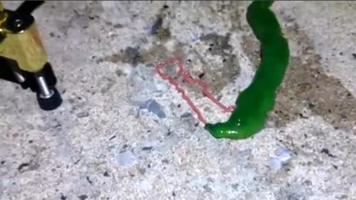 Tayvan'da Ortaya Çıkan Yeşil Yaratık Panik Yarattı