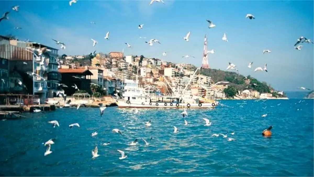 İstanbul Sarıyer ilçesi genel seçim sonuçları (2015) Sarıyer seçim