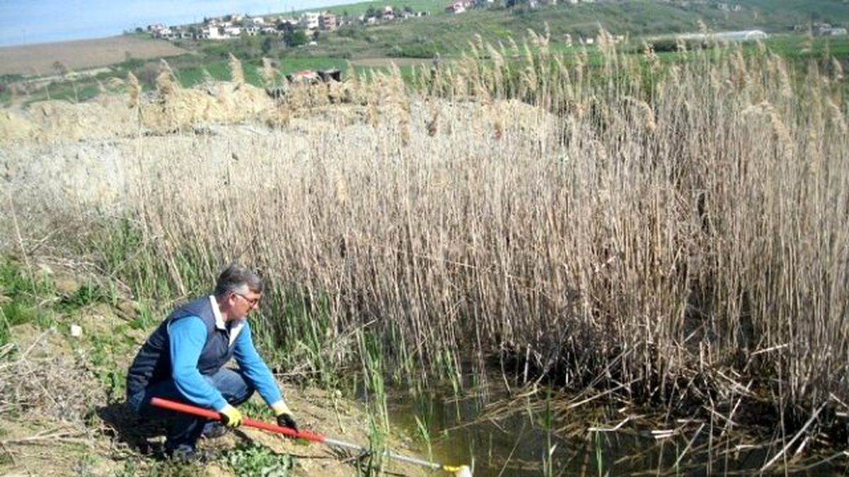 Gelibolu Belediyesi Sinekle Mücadeleye Devam Ediyor