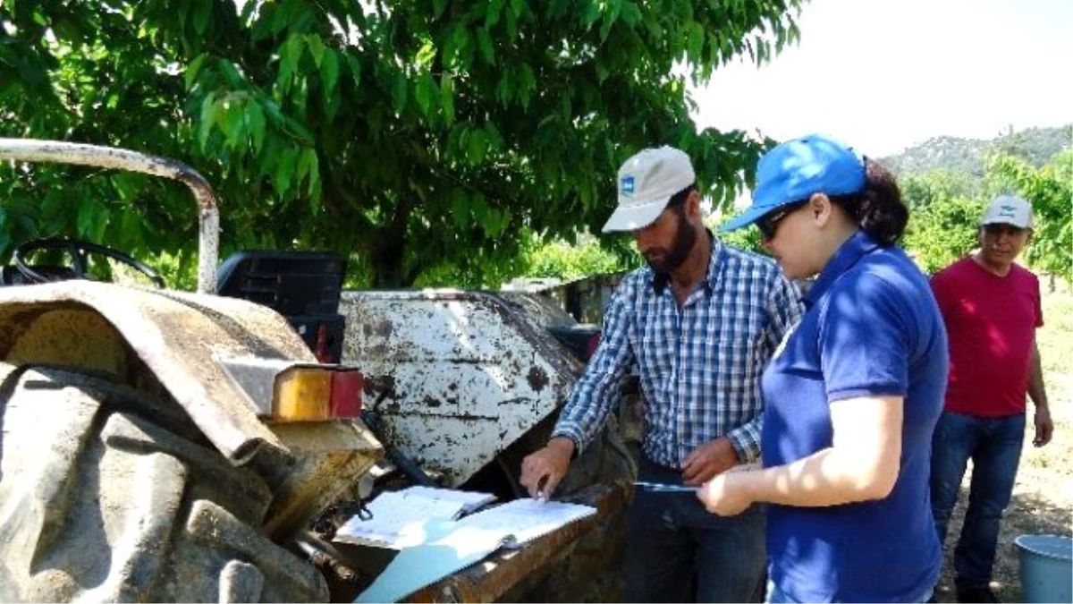 Kiraz Ağaçlarında Eküy Projesi Kapsamında Analiz