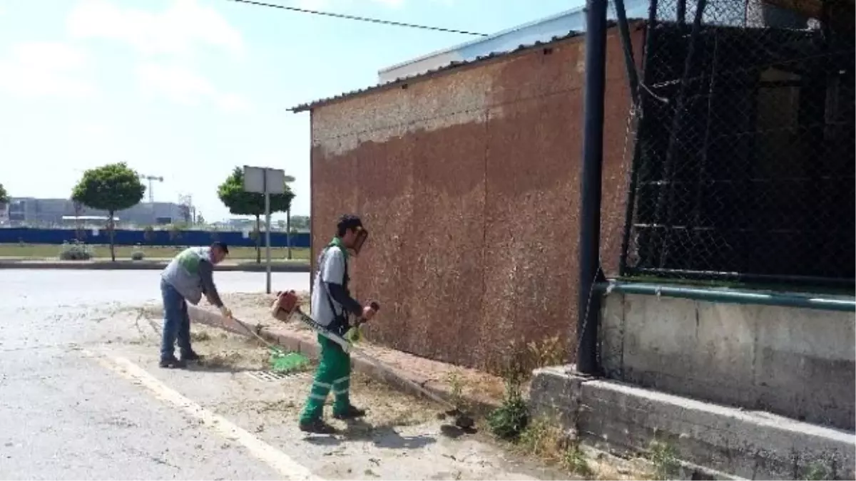 Sanayi Mahallesinde Çevre Düzenlemesi Yapıldı