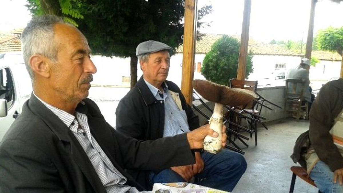 1 Kiloluk Mantar Görenleri Şaşırttı
