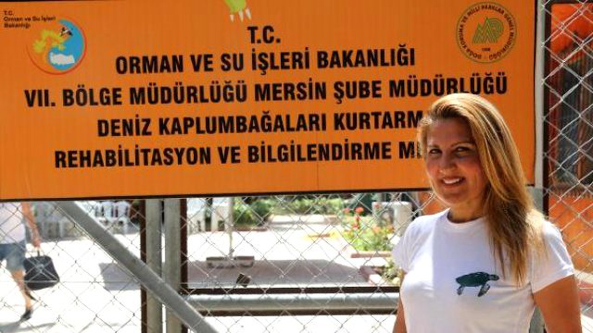 Deniz Kaplumbağaları Sahile Yumurta Bırakmaya Başladı